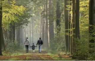 Family walking in the woods